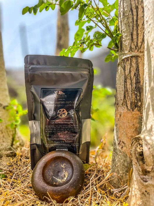 סבון-ליפה-תמונה